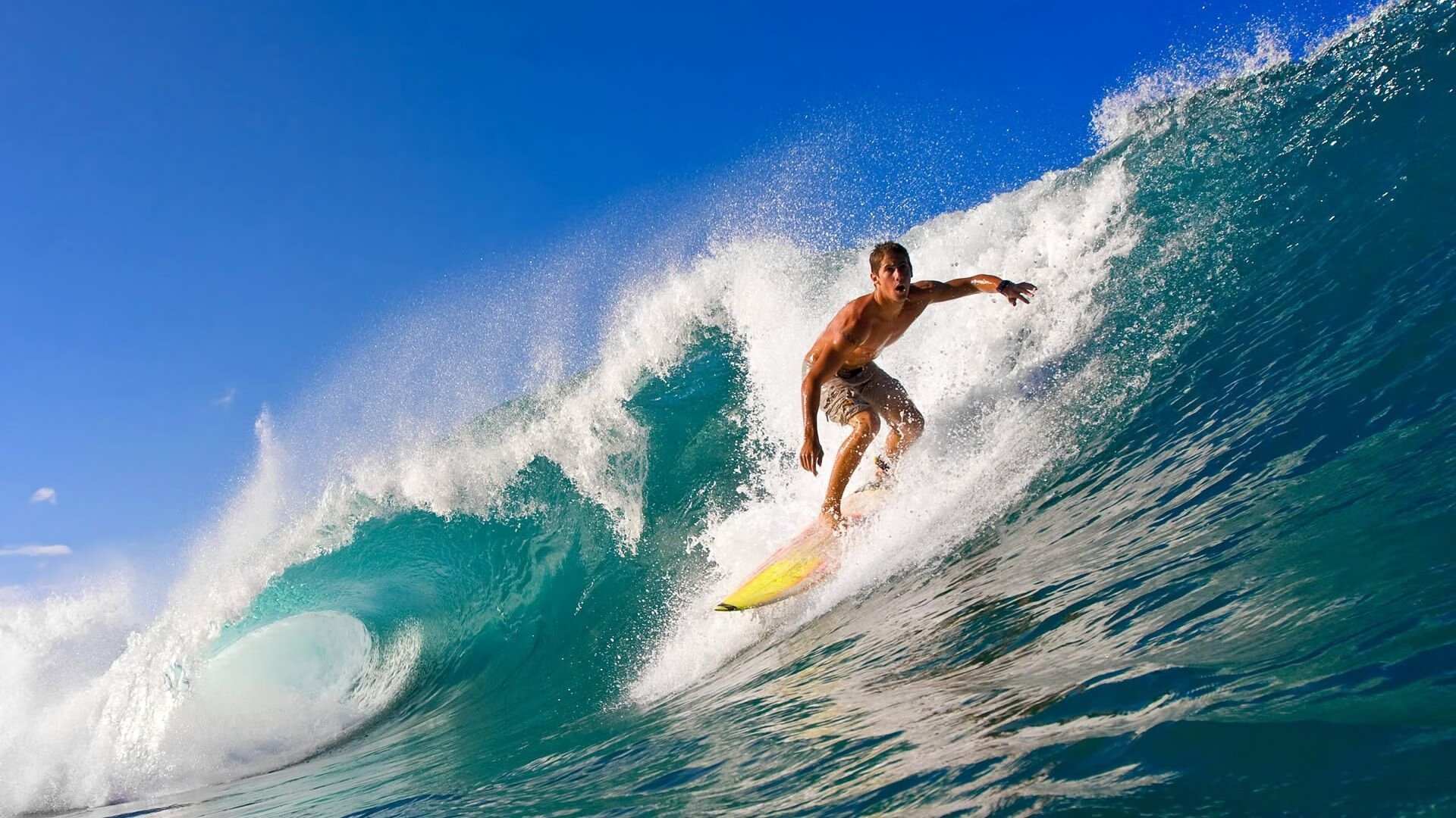 九游LOL-新闻中心发布国际射击联合会赛事直播转播声明，国际射击联合会射击比赛规则